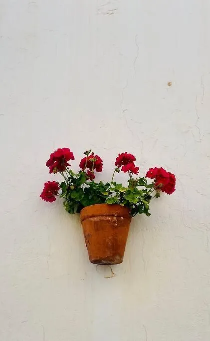 Couples Only, Beautiful 1 Bedroom Apartment In Victoria Building Mojácar 0*,